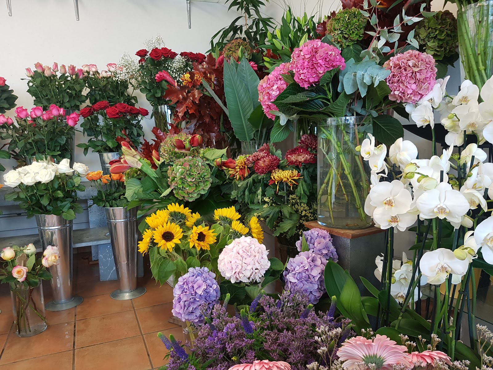Grand choix de fleurs fraîches en boutique : roses, hortensias, tournesols