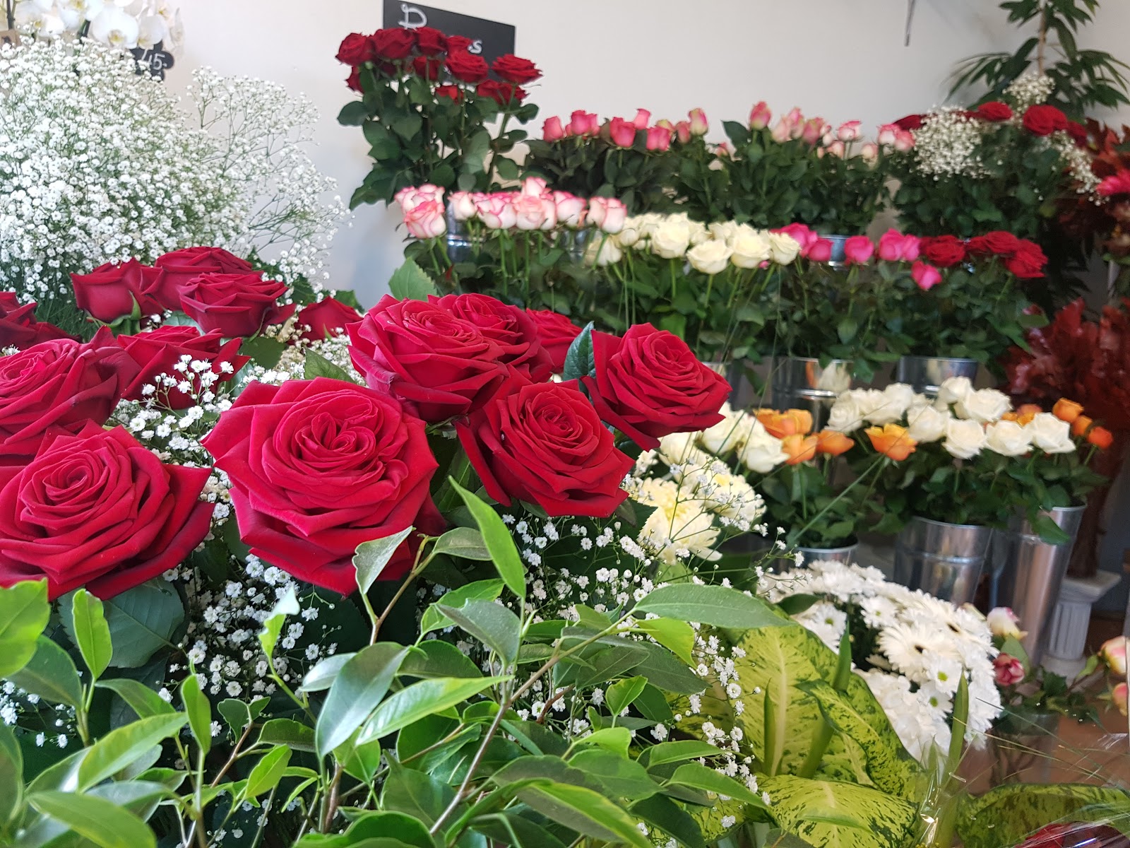 Roses rouges fraîches à La Joconde, Neuchâtel